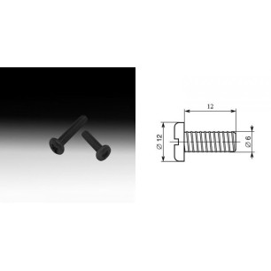 Vis M6 à tête Pozi-drive 6 x 12 mm (sachet de cent)