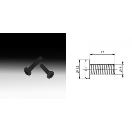 Vis M6 à tête Pozi-drive 6 x 12 mm (sachet de cent)