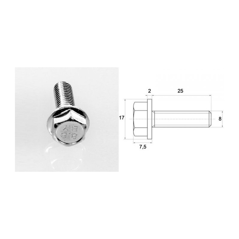 Vis M8 à tête héxagonale 8 x 25 mm (sachet de cent)