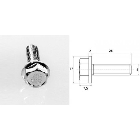 Vis M8 à tête héxagonale 8 x 25 mm (sachet de cent)